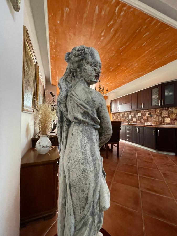 Venus - Cozy Apt With Terrace Вльора Екстер'єр фото