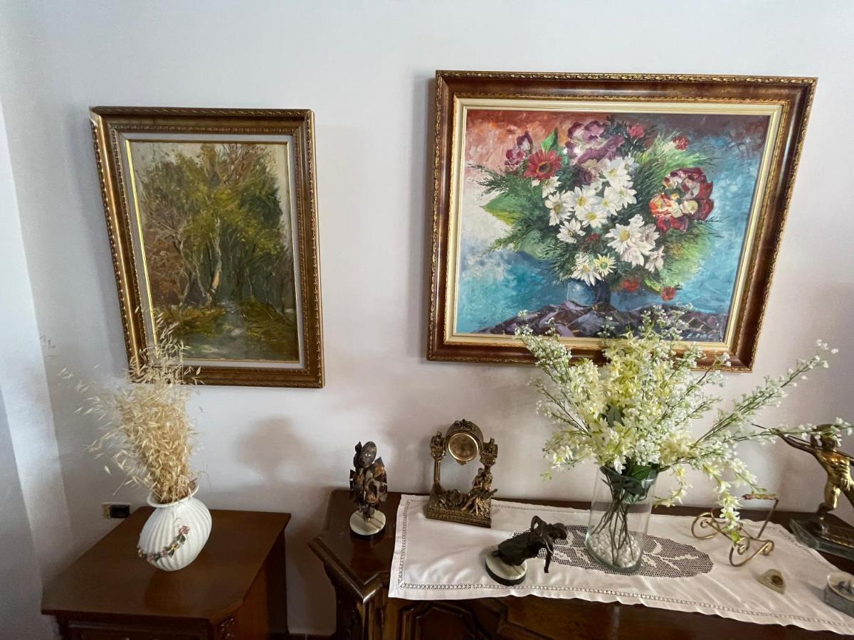 Venus - Cozy Apt With Terrace Вльора Екстер'єр фото